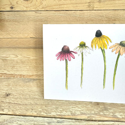 Coneflowers Notelet