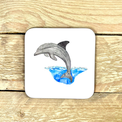 Dolphin Coaster