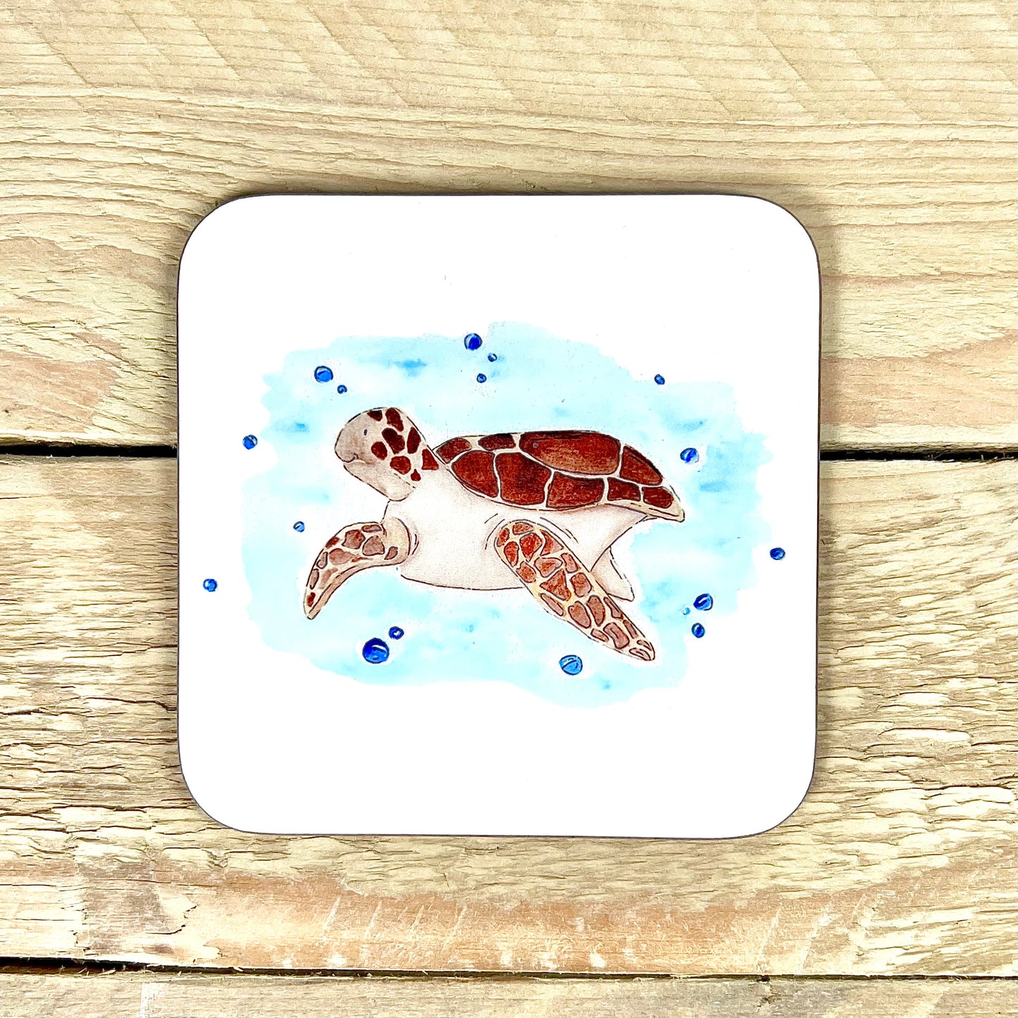 Turtle Coaster