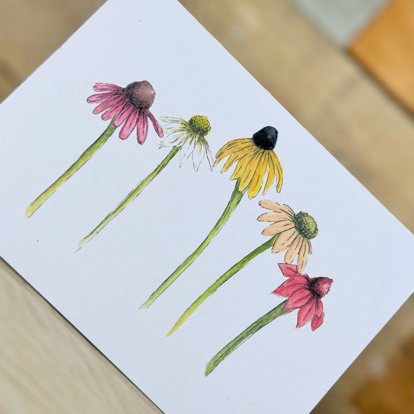 Coneflowers Notelet