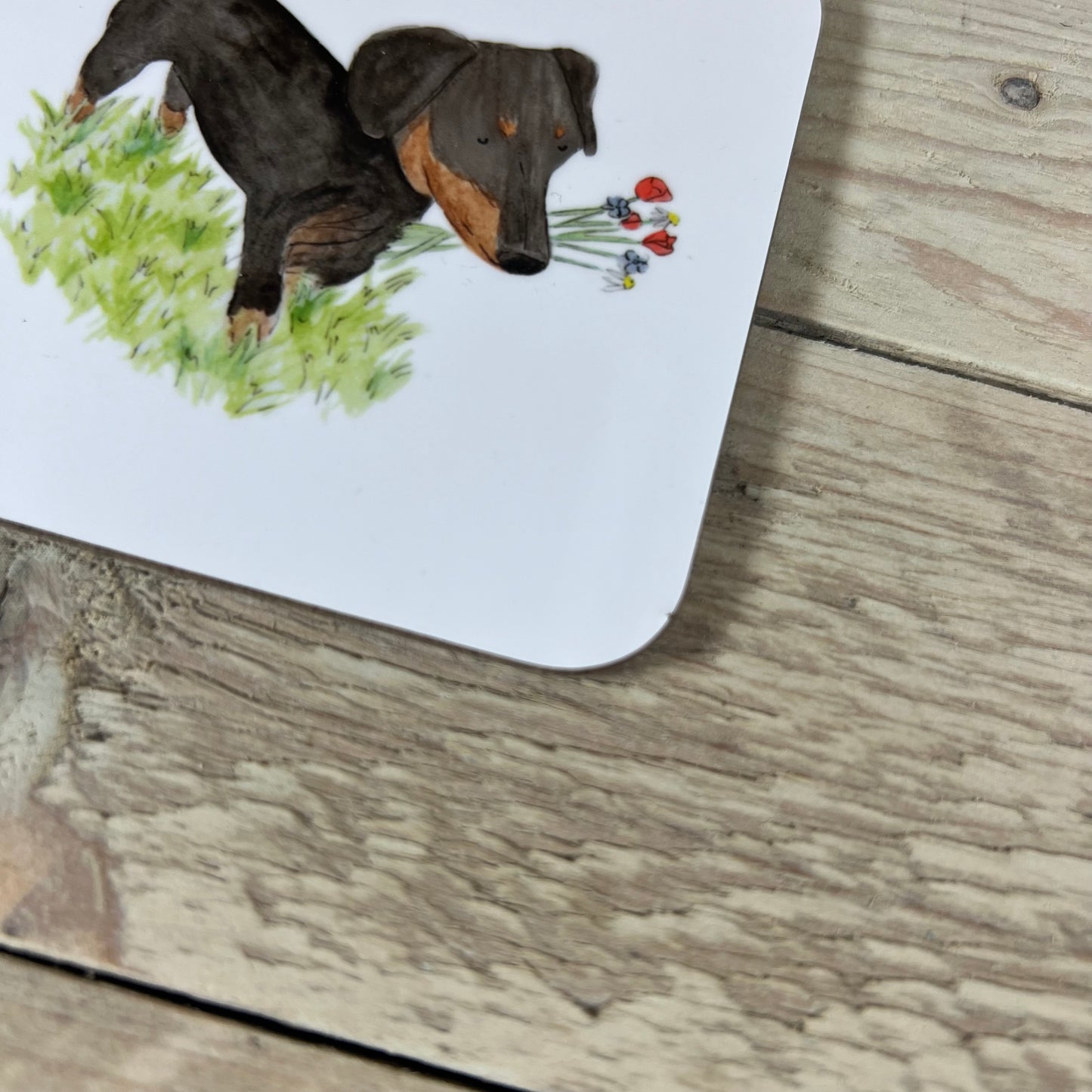 Wonky Sausage Dog Coaster