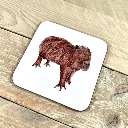 Capybara Coaster