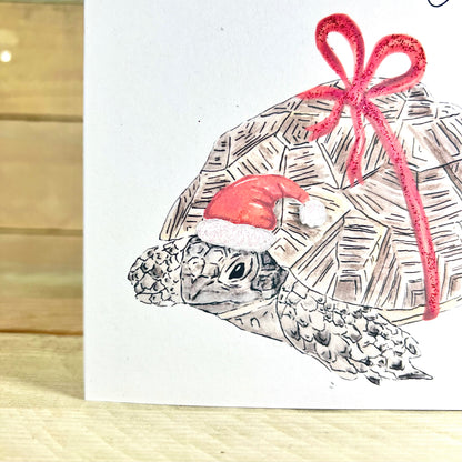 Festive Tina the Tortoise Christmas Card