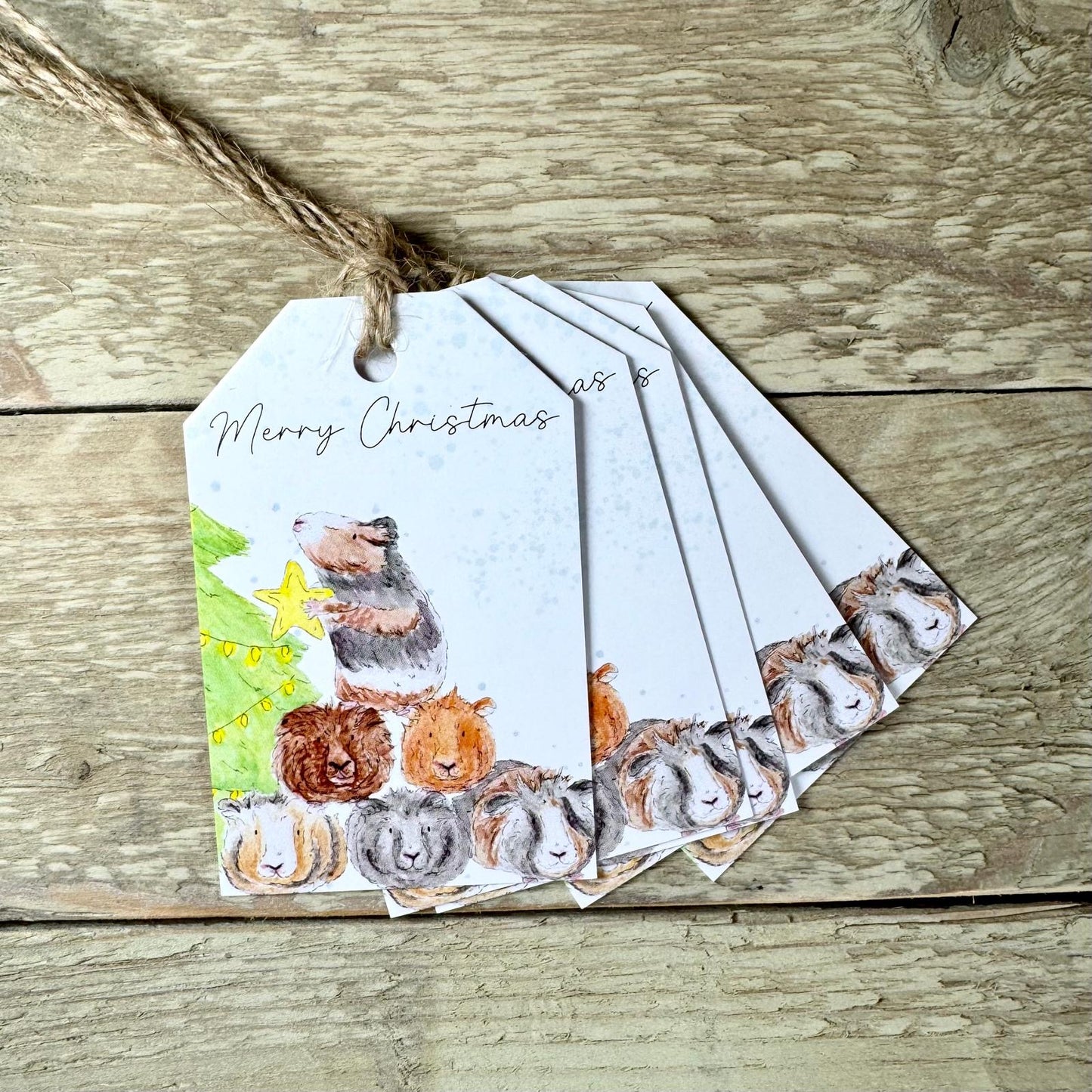 Guinea Pigs Christmas Gift Tags