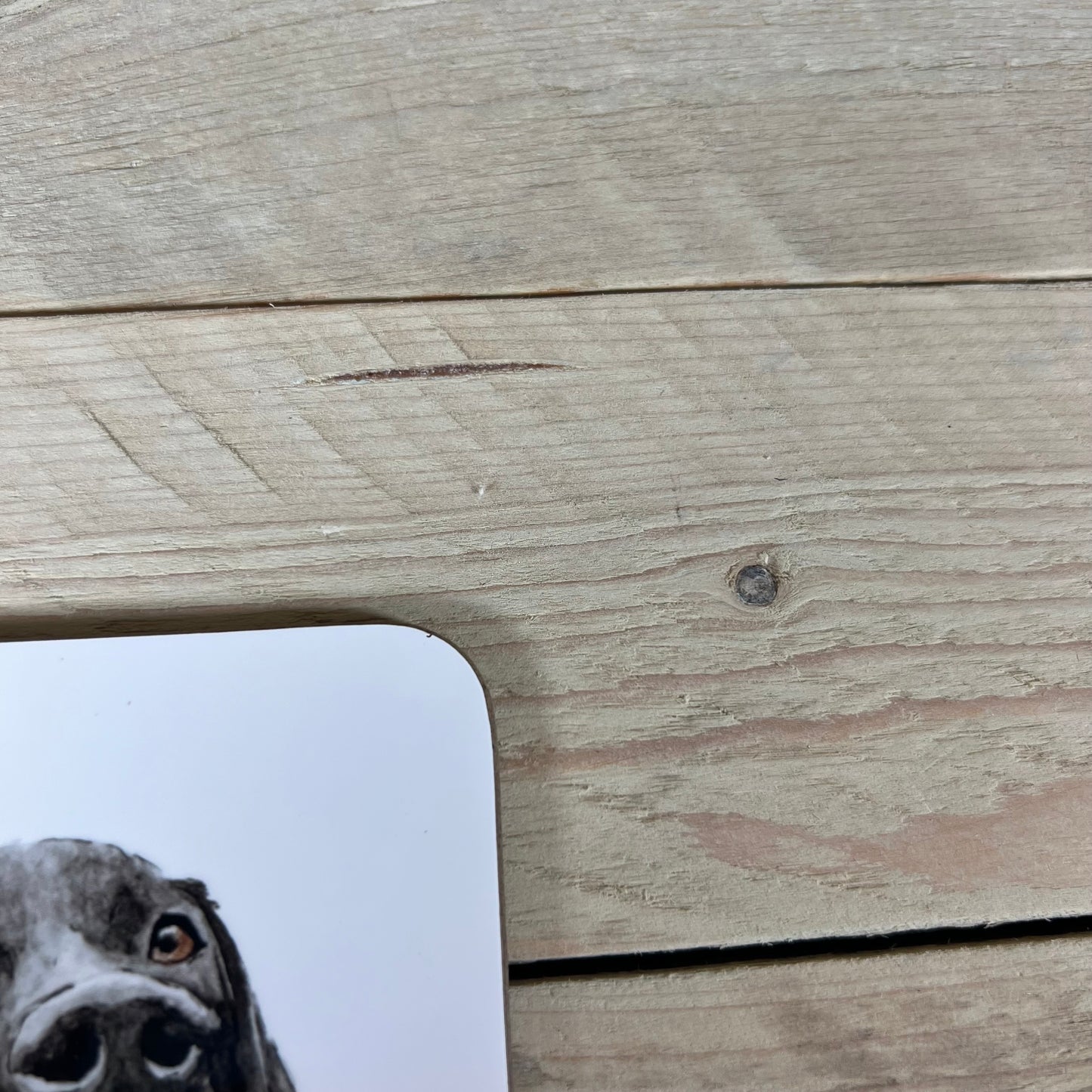 Wonky Black Lab Coaster