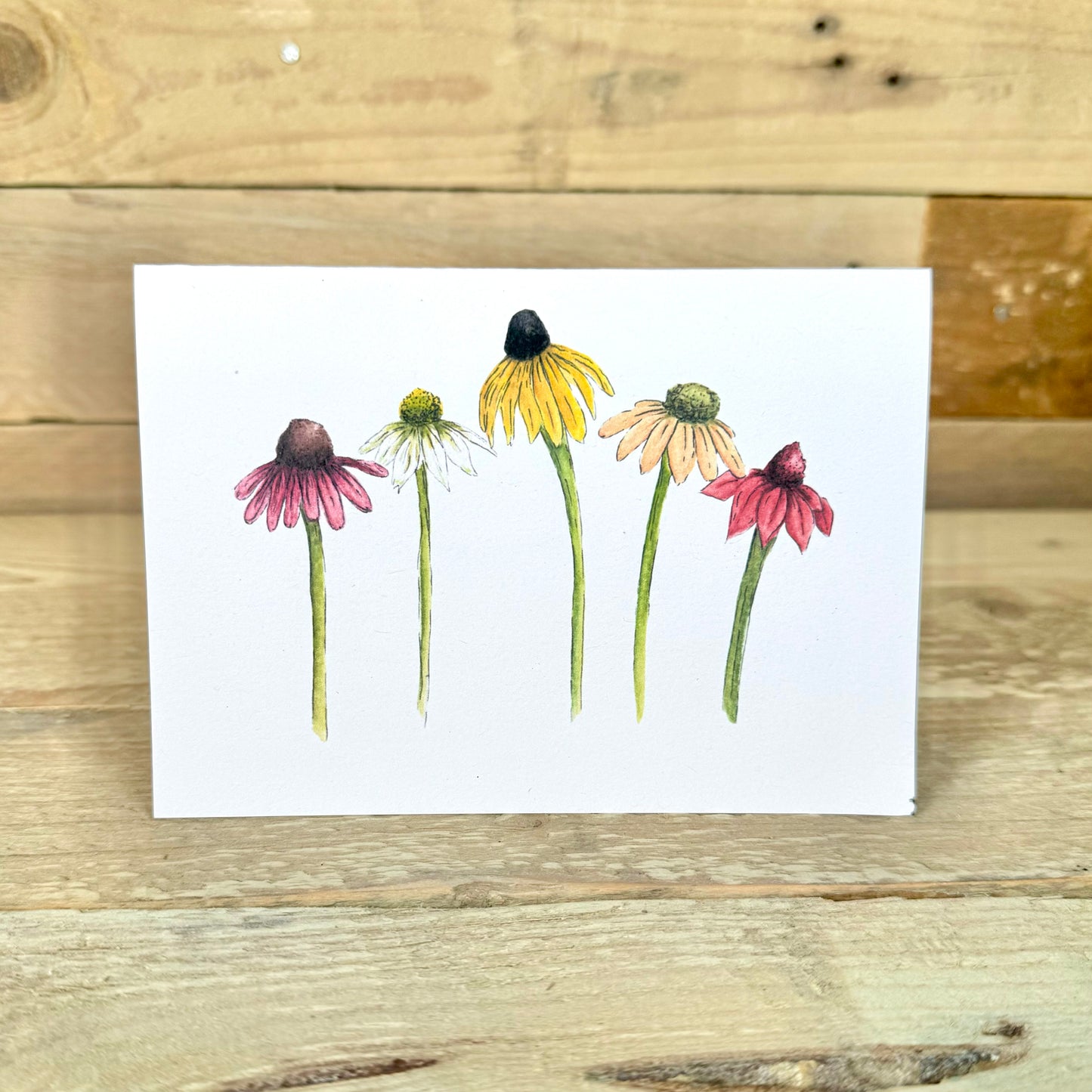 Coneflowers Notelet