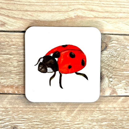 Ladybird Coaster