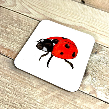 Ladybird Coaster