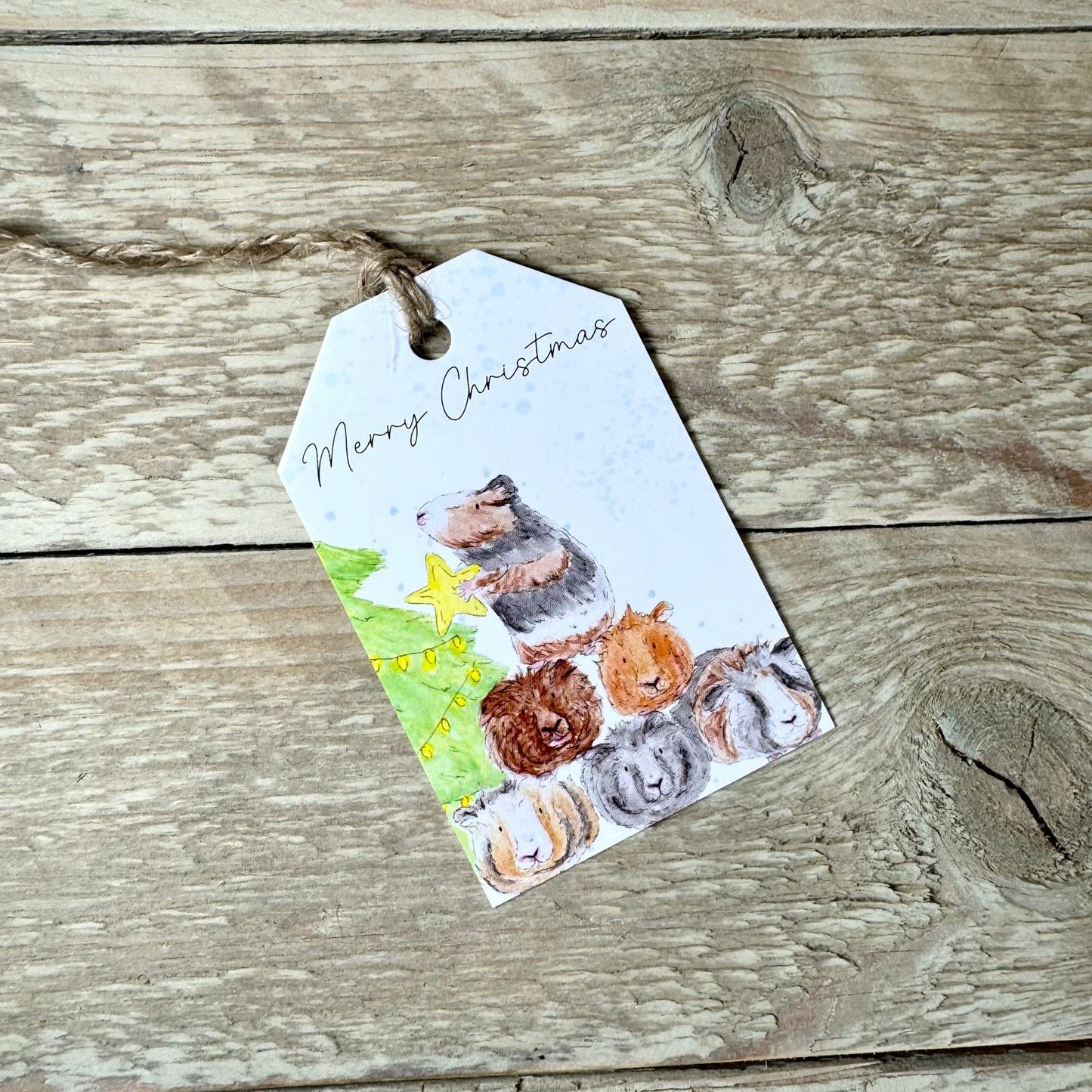 Guinea Pigs Christmas Gift Tags