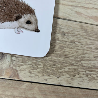 Wonky Hedgehog Coaster