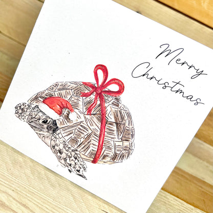 Festive Tina the Tortoise Christmas Card