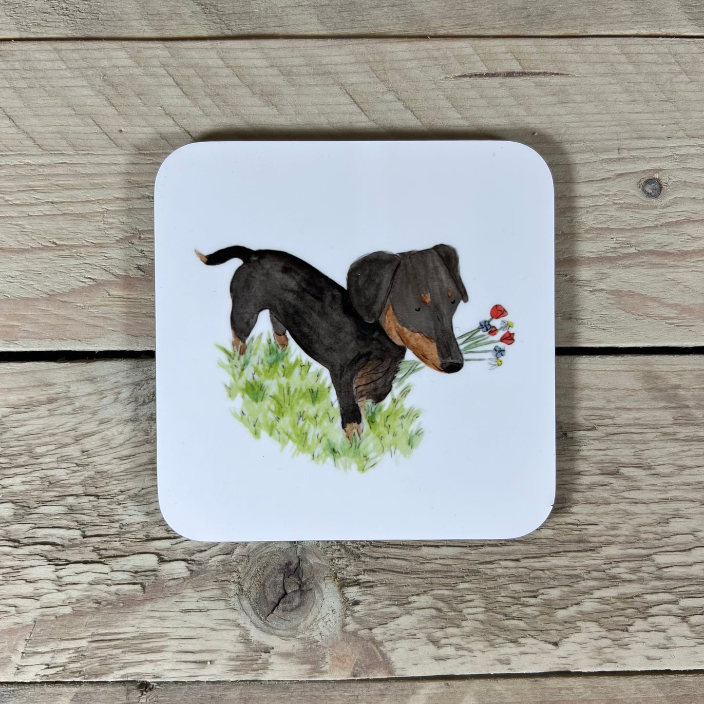 Wonky Sausage Dog Coaster