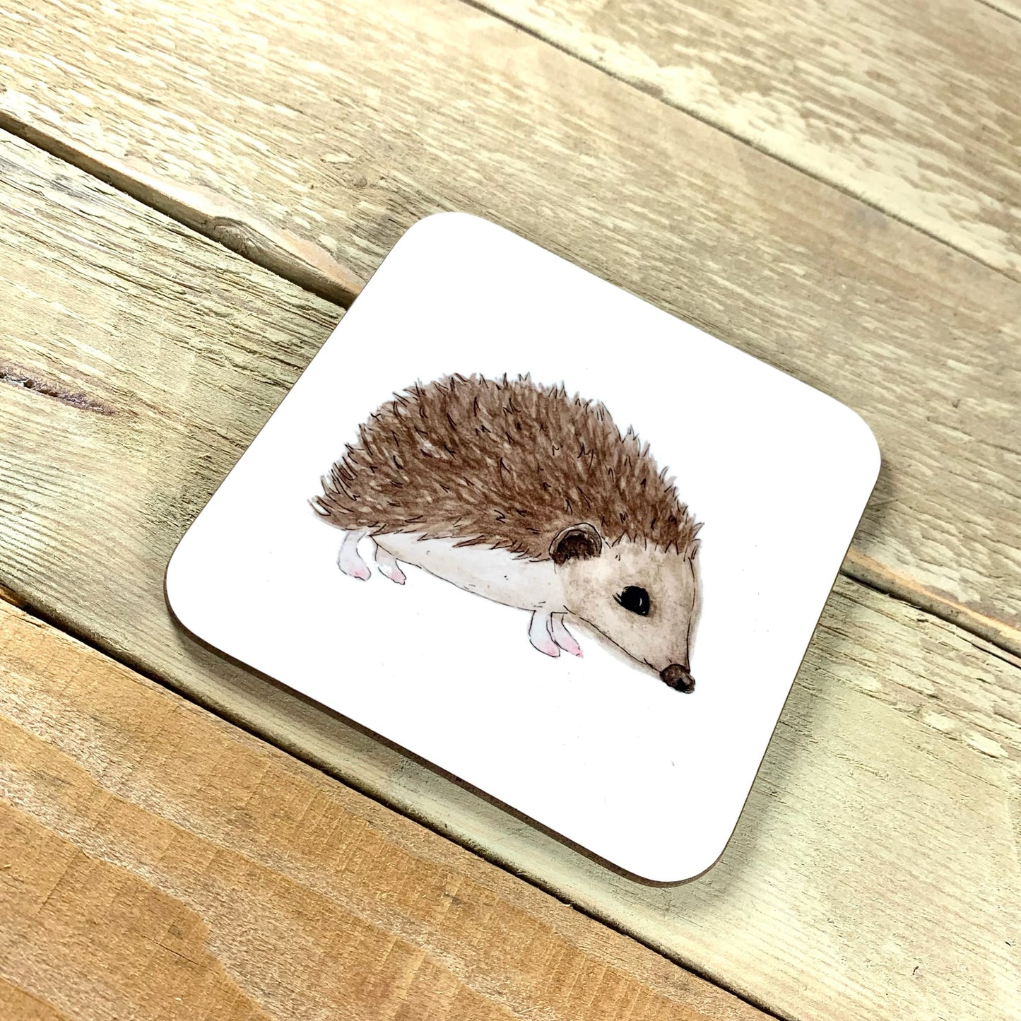 Hedgehog Coaster